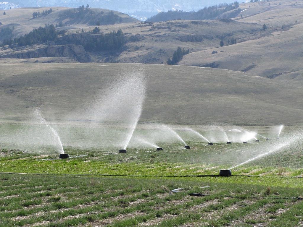 A lush farm field with an efficient irrigation system in action.