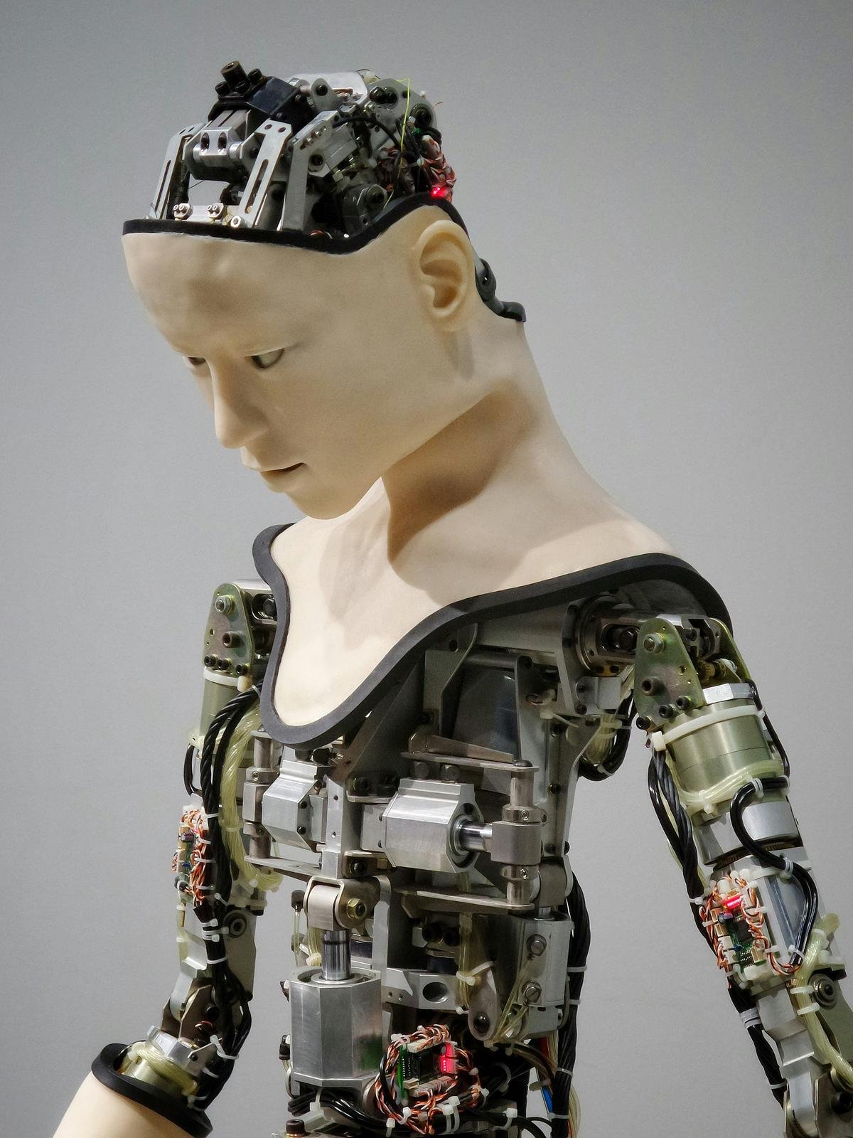 Image representing the future of AutoGPT, showing a blend of human and artificial intelligence working together