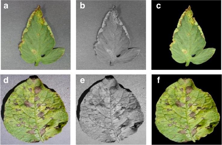 A close-up of a plant leaf being scanned by an AI-powered camera for disease detection